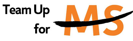 NYR_TeamUp_2013_Logo